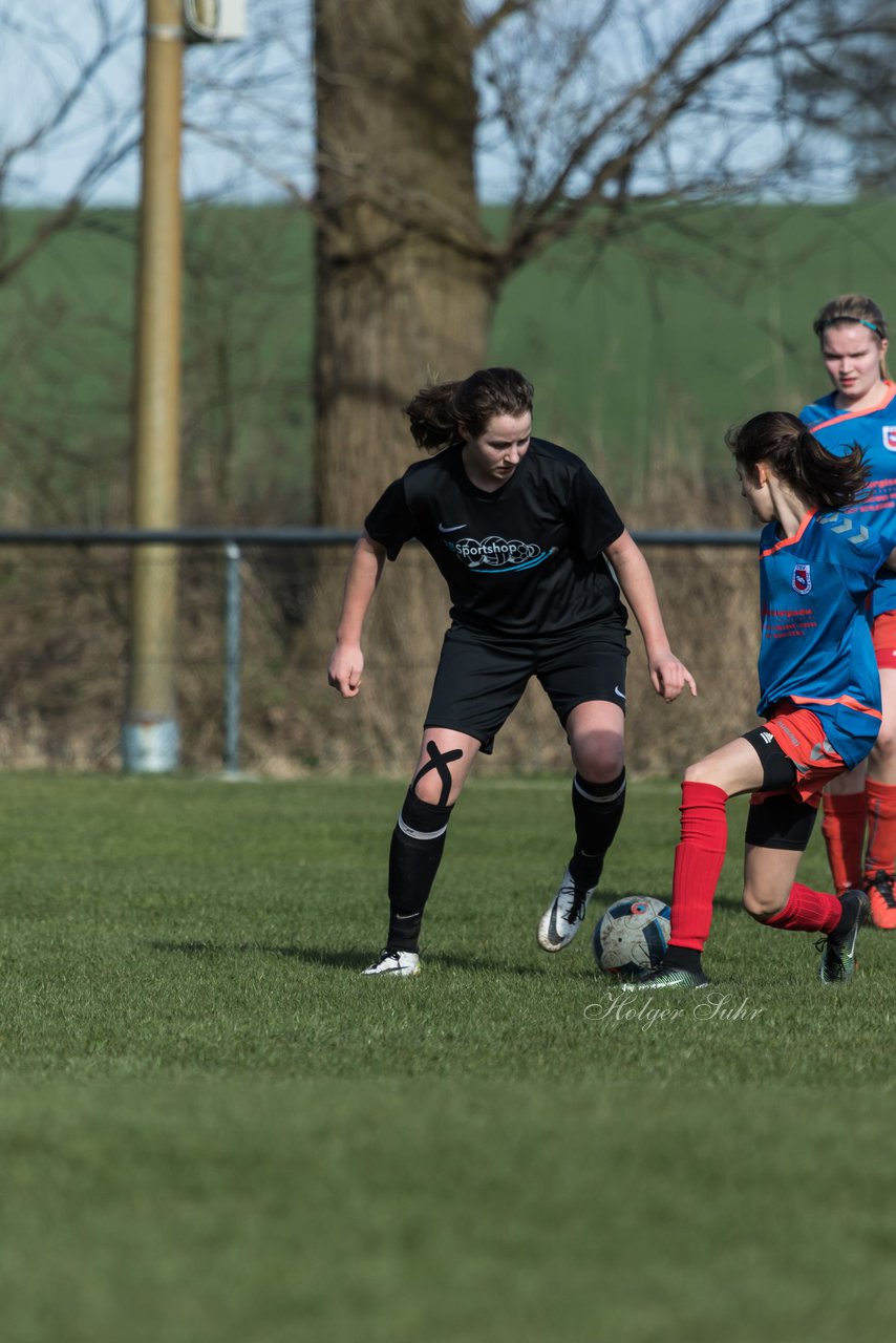 Bild 243 - C-Juniorinnen SV Steinhorst/Labenz - TSV Friedrichsberg-Busdorf : Ergebnis: 5:0